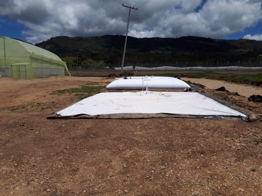 WhatsApp-Image-2022-05-28-at-12.55.49-AM